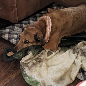 Meet your Posher, Jimmie